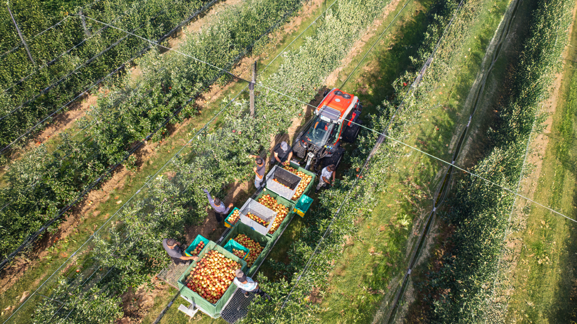bei der Arbeit | © Familie Brandl