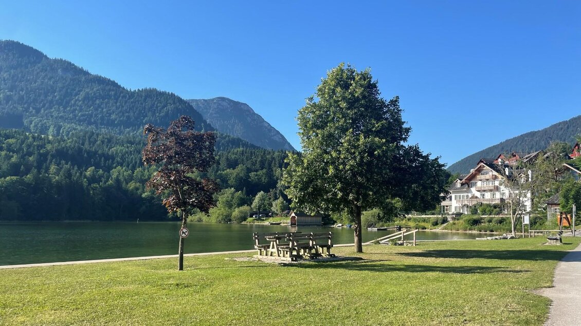 <p>Der Badeplatz Holzplatz/Seeklause bietet eine grüne Liegewiese sowie Sitzbänke mit einem Tisch zum Verweilen.</p> | © Tourismusverband Ausseerland