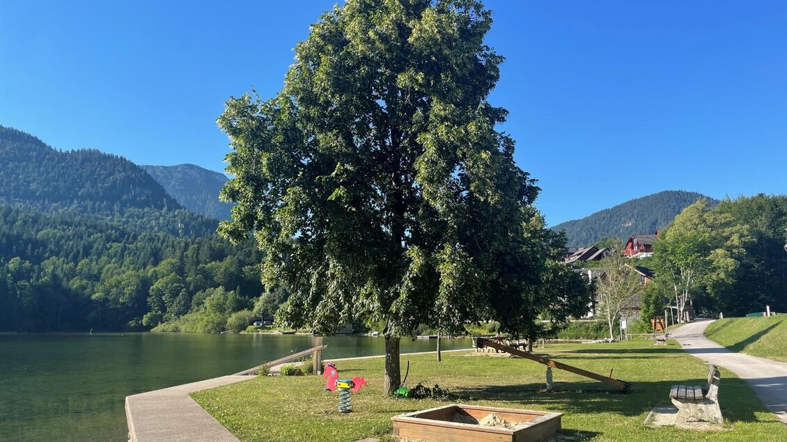 <p>Der traumhafte Badeplatz Holzplatz/Seeklause am Grundlsee mit einem großen Baum und einem kleinen Spielplatz mit Sandkasten und einer Federwippe.</p> | © Tourismusverband Ausseerland