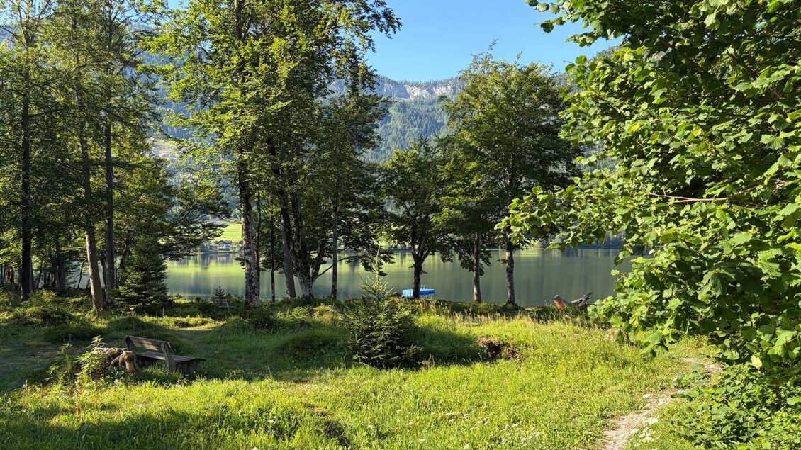 <p>Vom Murbodenhüttl führen mehrere kleine Wege durch den grünen Wald zum Seeufer vom Grundlsee.</p> | © Tourismusverband Ausseerland