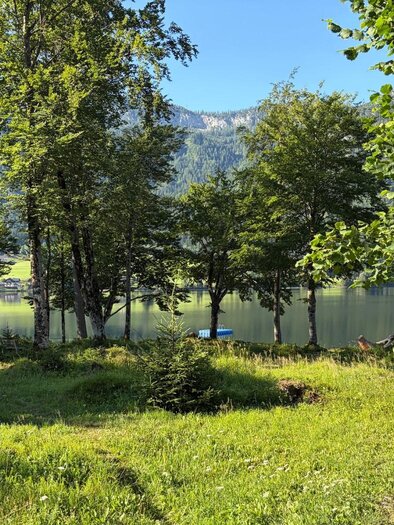 <p>From the Murbodenhüttl, several small paths lead through the green forest to the shores of Grundlsee.</p> | © Tourismusverband Ausseerland