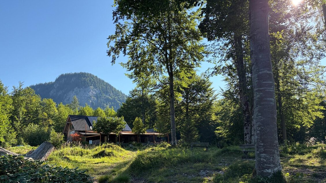 <p>Das Gasthaus Murbodenhüttl grenzt direkt an einen grünen Wald an, durch welchen mehrere Wege zum Seeufer führen.</p> | © Tourismusverband Ausseerland