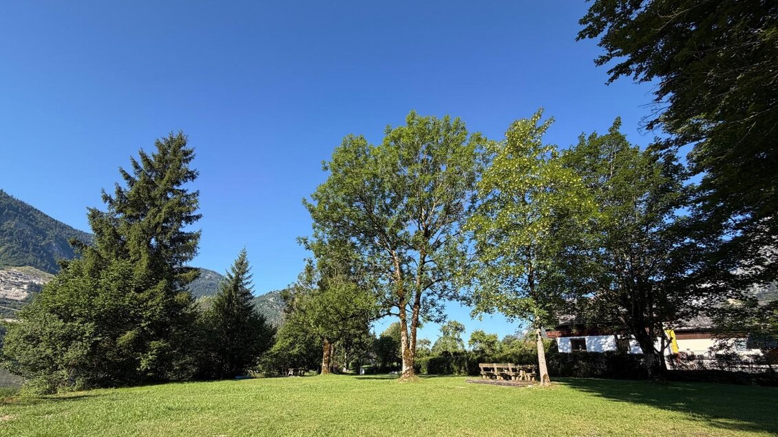 <p>Der grüne Badeplatz mit mehreren Bäumen und einem klaren blauen Himmel. Im Hintergrund sind einige Bänke und die Berge von Grundlsee zu sehen.</p> | © Tourismusverband Ausseerland