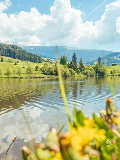 Badesee Mühlen | René Hochegger | © Tourismusverband Murau