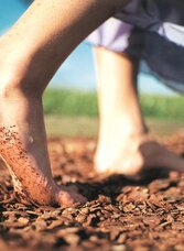Barefoot Park Wenigzell_Station bark_Eastern Styria | © Barfußpark Wenigzell | Bernhard Bergmann | © Barfußpark Wenigzell