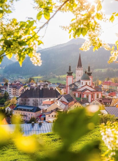 Basilika im Frühling | Fred Lindmoser | © TV Hochsteiermark