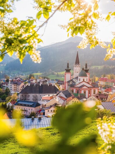Basilika im Frühling | © TV Hochsteiermark