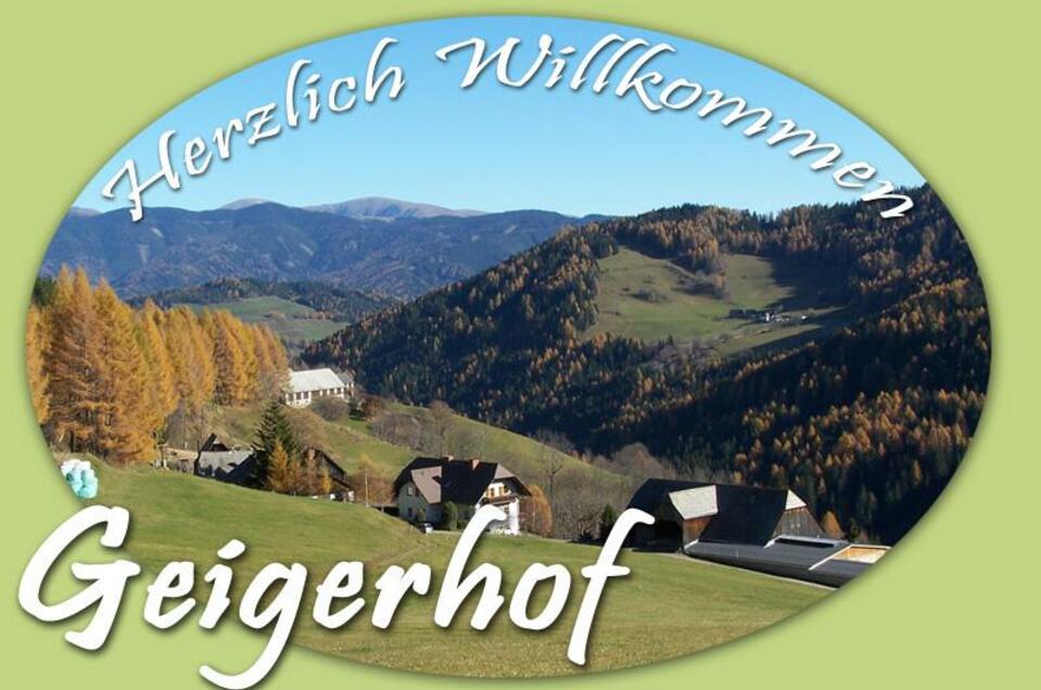 Bauernhof Wiesnegger vlg. Geiger - Impression #1 | © Fam. Wiesnegger