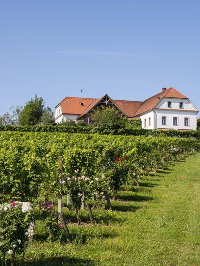 Exterior view Bergstadl Leitersdorfberg  | © Bergmann | Bergstadl Fam. Pichler | © Bergmann