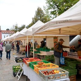 Ein belebter Wochenmarkt mit mehreren Ständen und bunten Obstkisten. Menschen kaufen frische Produkte unter weißen Pavillons. | © Stadtgemeinde Fürstenfeld