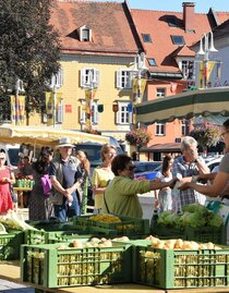 Bauernmarkt-Judenburg-Murtal-Steiermark | © Foto Mitteregger | Bauernmarkt Judenburg | © Foto Mitteregger