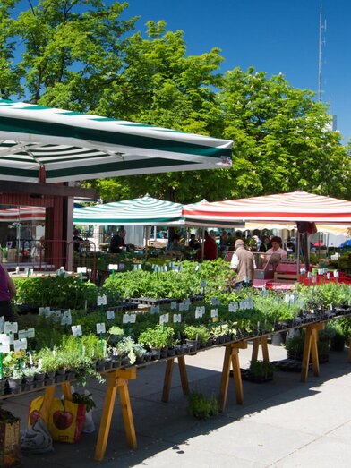 Bauernmarkt am Lendplatz | © Graz Tourismus - Harry Schiffer | © Graz Tourismus - Harry Schiffer