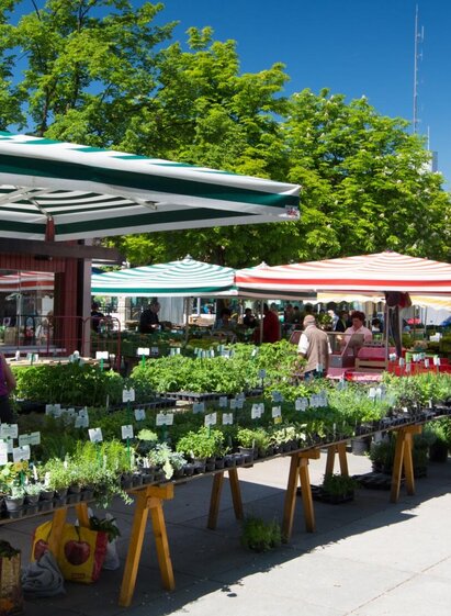 Bauernmarkt am Lendplatz | © Graz Tourismus - Harry Schiffer