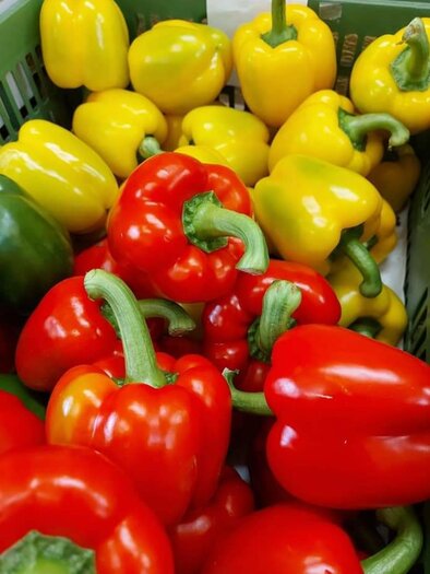 Obst Gemüse Blumen Exel