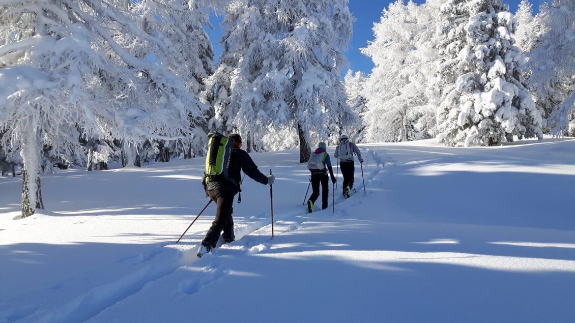 Eine Gruppe von Personen wandert auf einer schneebedeckten Strecke durch einen Winterwald. Die Bäume sind mit Schnee bedeckt und der Himmel ist klar und blau. | © Hans Prugger