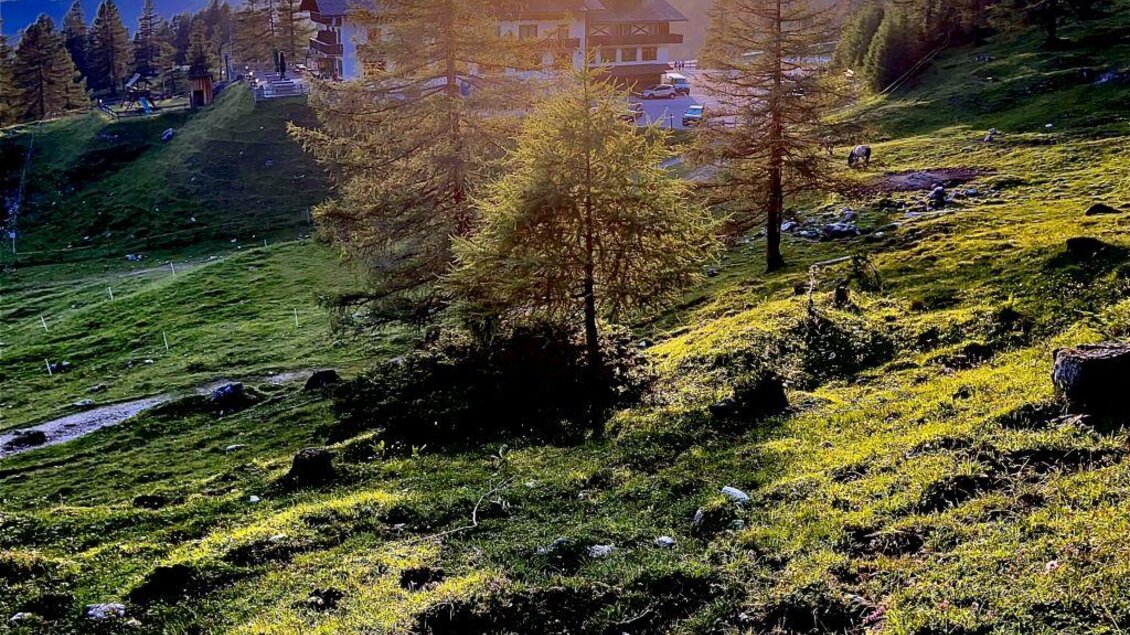 kulinarik-berghotel-tuerlwand_IMG_4016