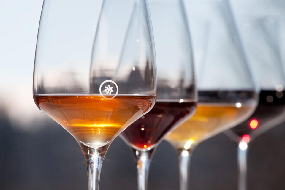 Bio-Wein von Ploder-Rosenberg - Impression #1 | © Weingut Ploder