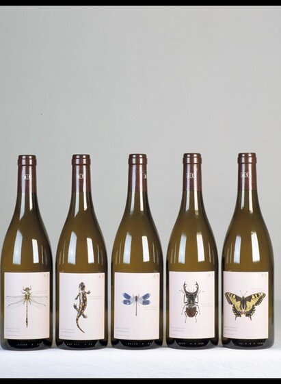 Bio-Weingut Tscheppe Andreas Flaschen | © Bio-Weingut Tscheppe Andreas | Andreas Tscheppe | Andreas Tscheppe | © Bio-Weingut Tscheppe Andreas | Andreas Tscheppe