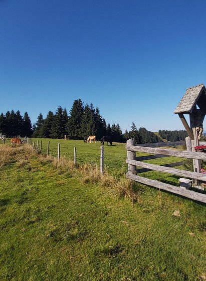 Bischofskreuz_Heulantsch-Runde_Almenland | Christine Pollhammer | © Oststeiermark Tourismus