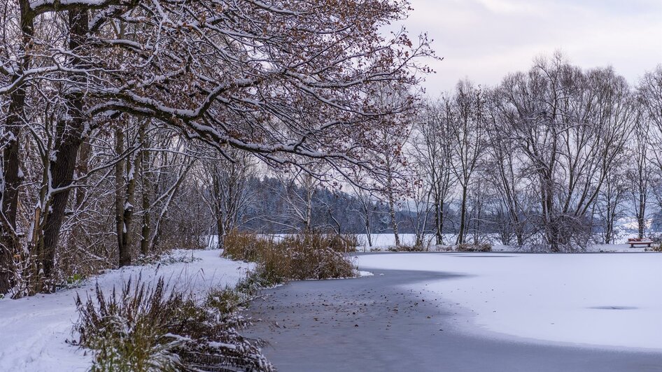 BlicknerTeich-Winter2-Murtal-Steiermark | © Anita Fössl