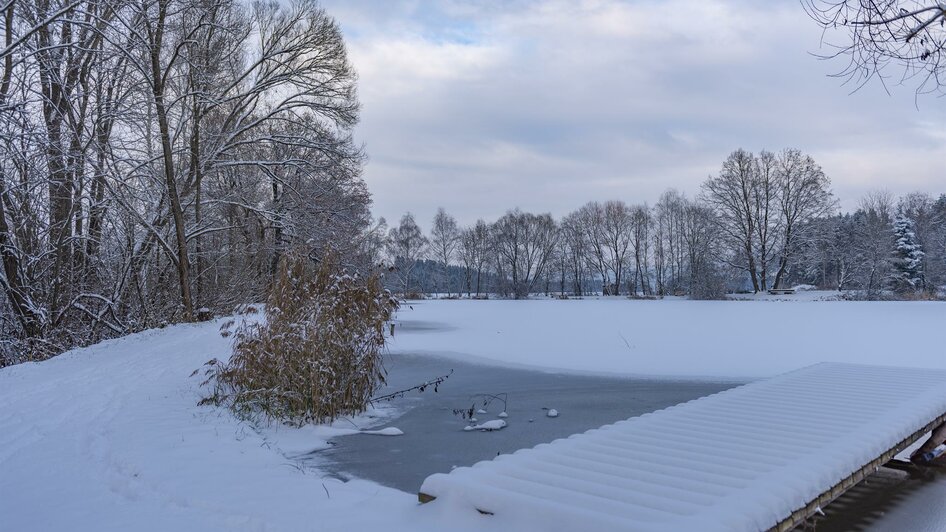 BlicknerTeich-Winter3-Murtal-Steiermark | © Anita Fössl