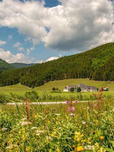 Kaiserau | © Christian Scheucher | © Christian Scheucher