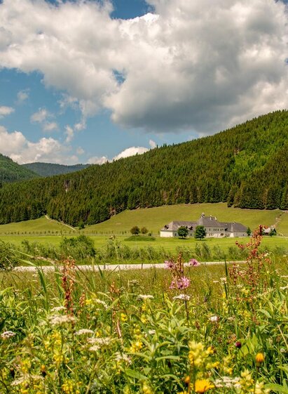 Kaiserau | © Christian Scheucher