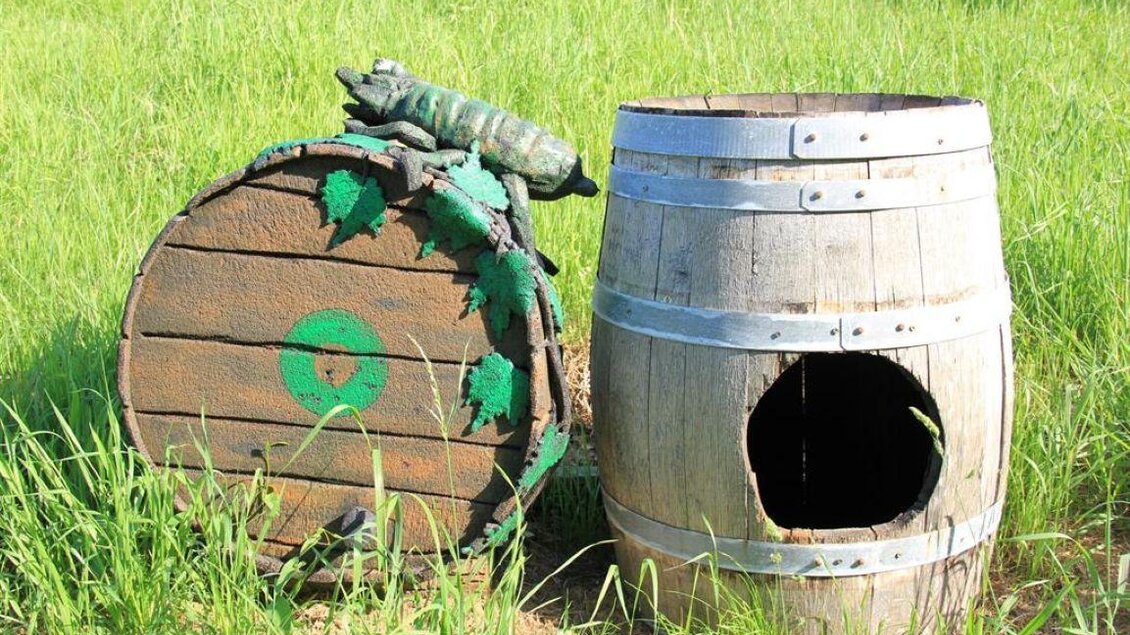 Ein bemaltes Holzfass und eine verzierte, künstlerisch gestaltete Kiste liegen im Gras. Auf der Kiste sitzt eine kleine, grüne Eidechse. | © KulturWeingut Kästenburg