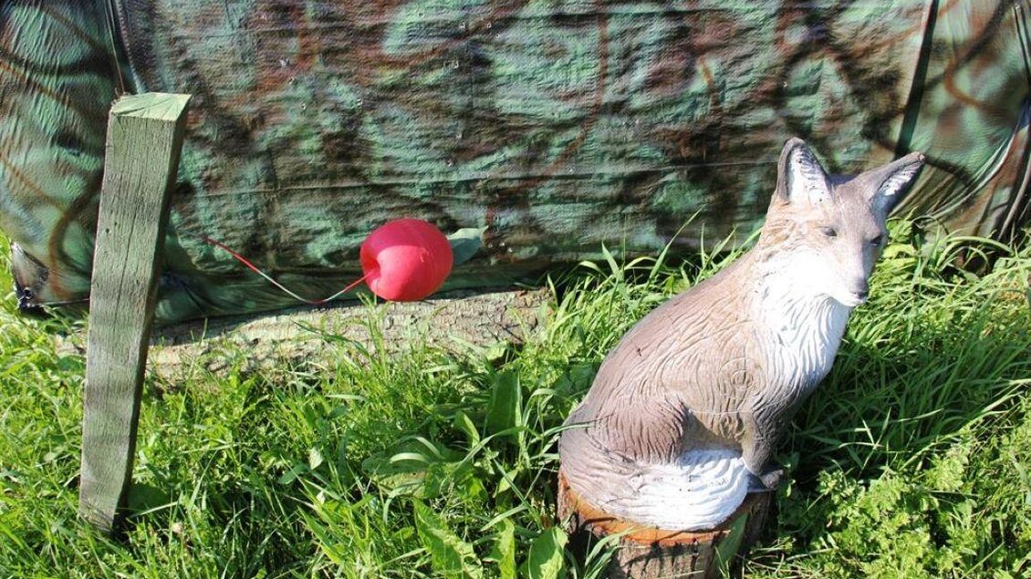 Eine Kunststofffigur eines Fuchses sitzt auf einem Stamm. Im Hintergrund ist eine grüne Plane zu sehen, und daneben hängt ein roter Ballon. | © Ulrike Elsnegg