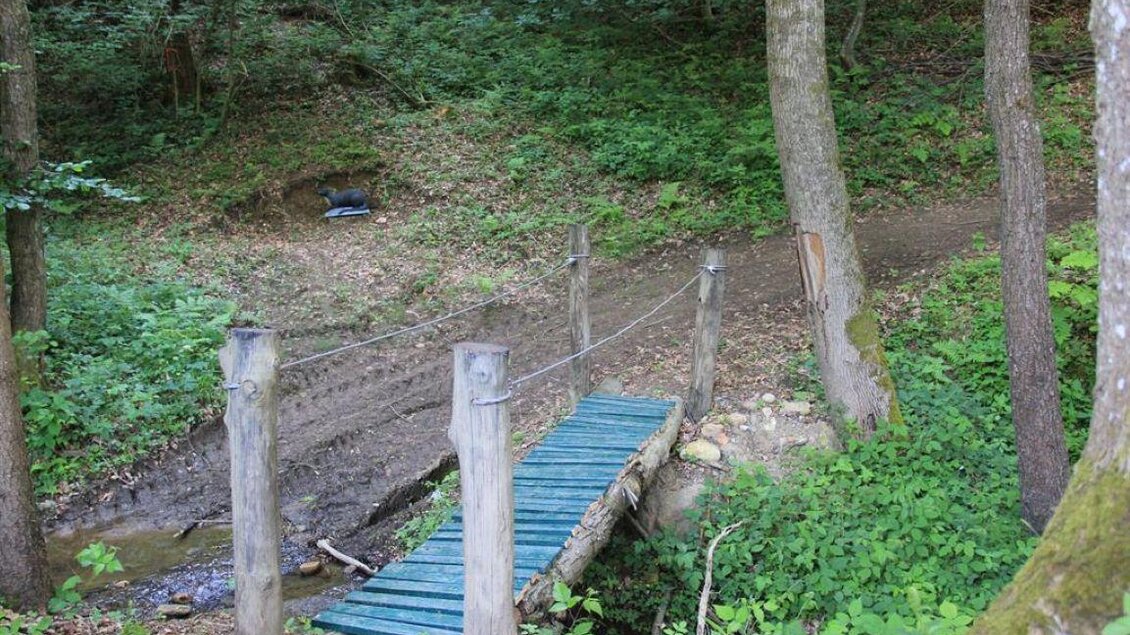 Eine kleine Hängebrücke aus Holz überquert einen schmalen Pfad im Wald. Die Umgebung ist grün und üppig bewachsen. | © Ulrike Elsnegg