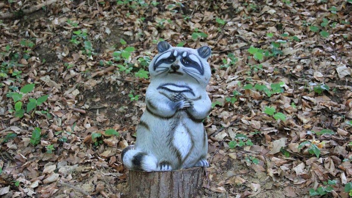 Eine auf einem Holzstamm stehende Waschbär-Skulptur in einem Wald voller Laub. Die Umgebung ist grün und natürlich. | © Ulrike Elsnegg