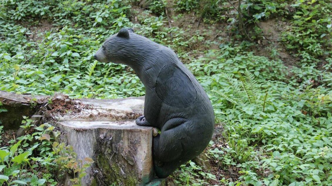 Ein Brahminbär sitzt auf einem Baumstumpf im Wald. Um ihn herum sind grüne Pflanzen und Sträucher zu sehen. | © Ulrike Elsnegg