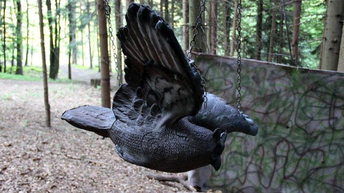 Eine schwingende Vogelskulptur in einem Wald. Der Hintergrund zeigt Bäume und eine natürliche Umgebung. | © Ulrike Elsnegg