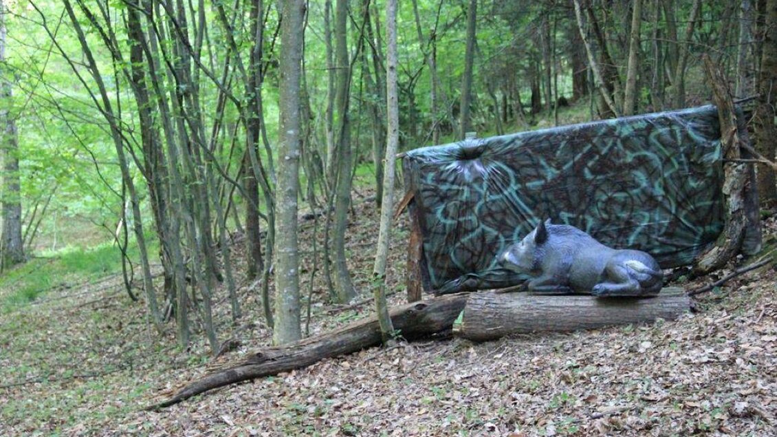 Ein Wildschwein liegt entspannt auf einem Baumstamm in einem bewaldeten Gebiet. Im Hintergrund ist eine große, mit grünen Mustern bemalte Fläche zu sehen. | © Ulrike Elsnegg