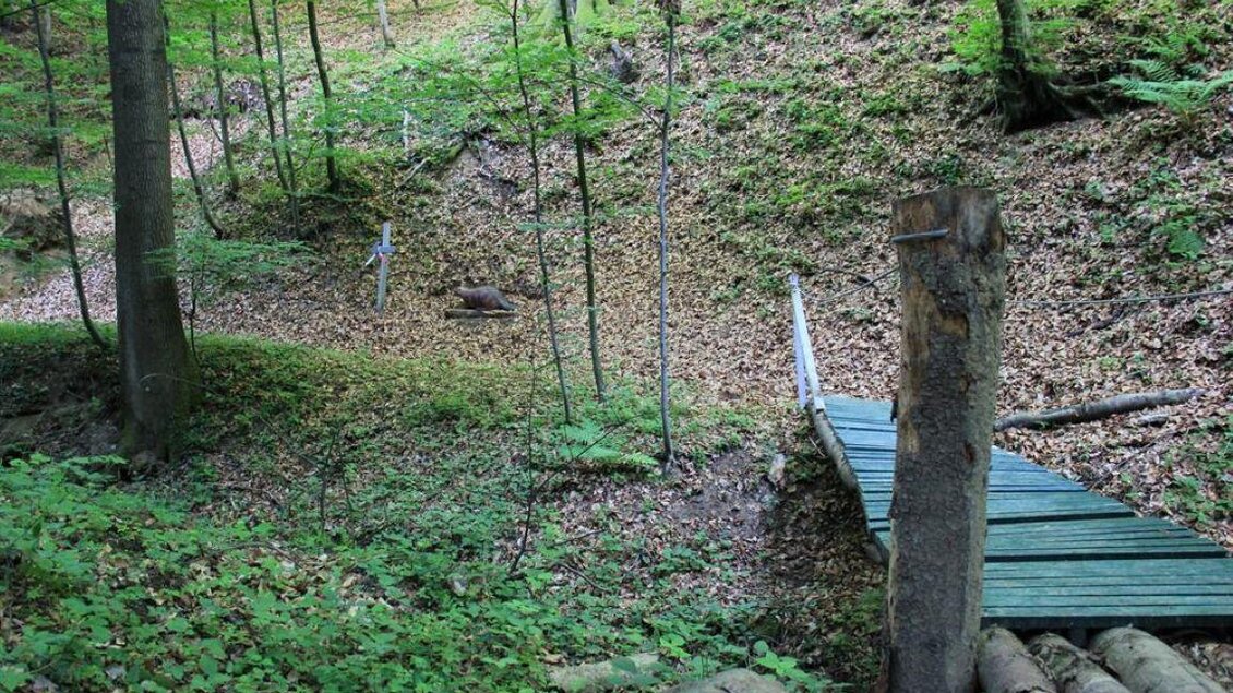 Ein kleiner Holzsteg führt über ein mit Laub bedecktes Gelände im Wald. Umgeben von Bäumen wirkt die Szene ruhig und naturnah. | © Ulrike Elsnegg