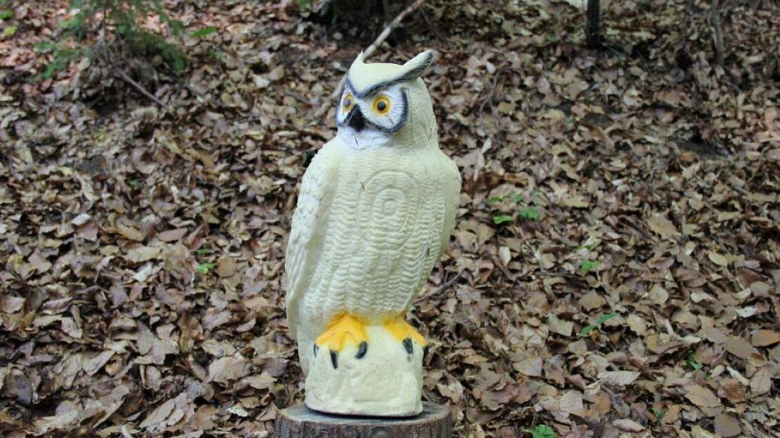 Eine weiße Eule aus Kunststoff steht auf einem Baumstumpf im Wald. Der Boden ist mit braunen Blättern bedeckt. | © Ulrike Elsnegg