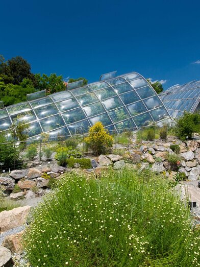Botanischer Garten Graz mit Glashäusern | © Graz Tourismus-Harry Schiffer