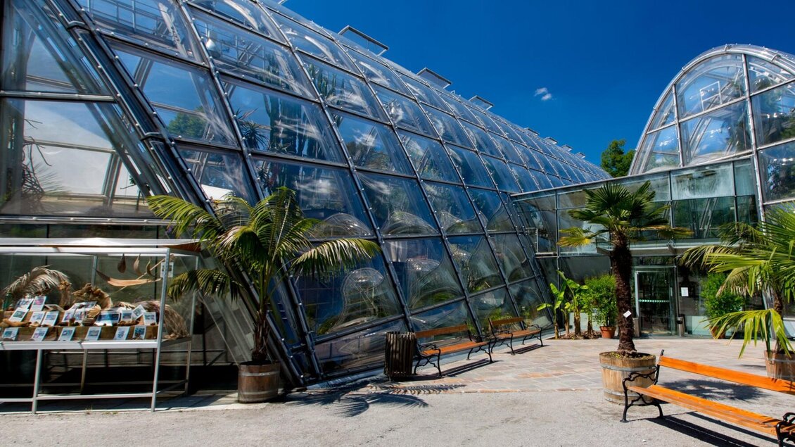 Glashäuser im Botanischen Garten Graz | © Graz Tourismus-Harry Schiffer