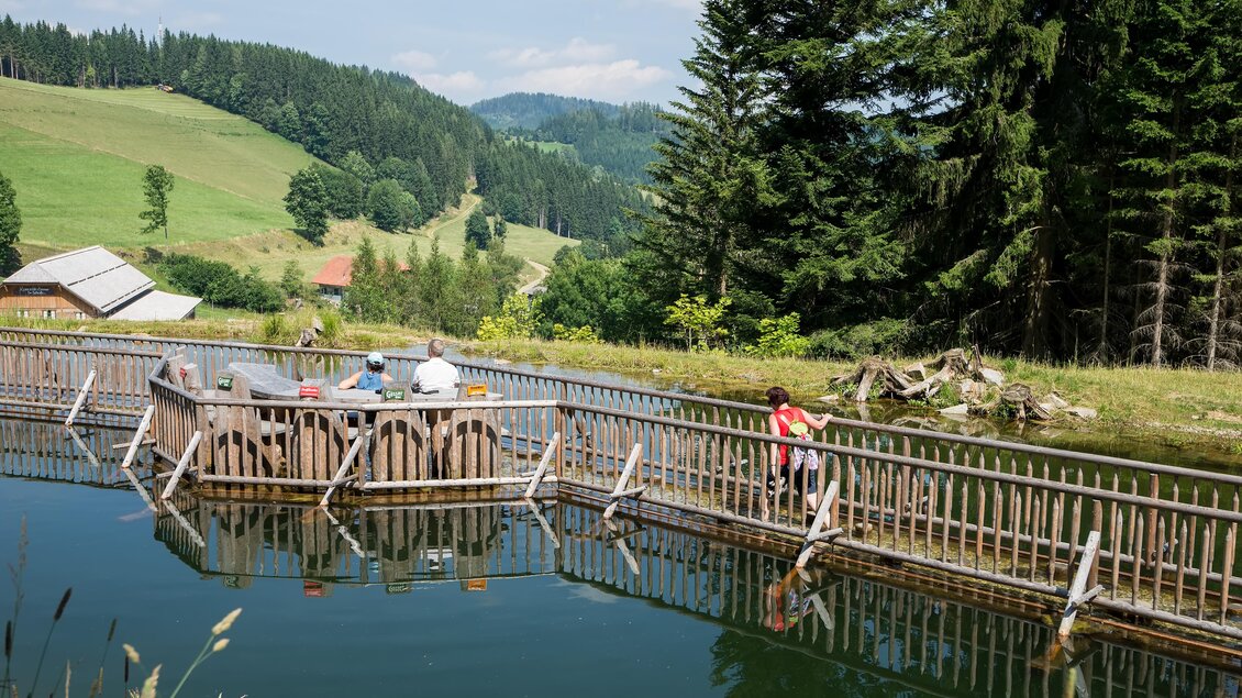 Eine idyllische Landschaft mit einem Teich und einer Holzbrücke. Im Hintergrund sind grüne Hügel und Bäume zu sehen. | © Sepp Benrusch