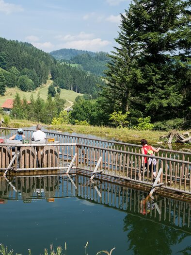 Eine idyllische Landschaft mit einem Teich und einer Holzbrücke. Im Hintergrund sind grüne Hügel und Bäume zu sehen. | © Sepp Benrusch