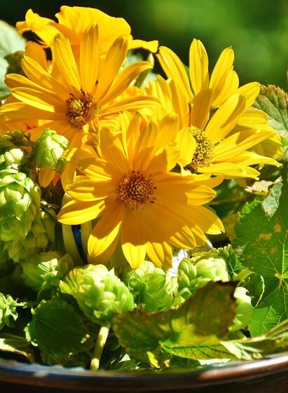 Hopfen_Blumenarrangement_Oststeiermark | © Pixabay