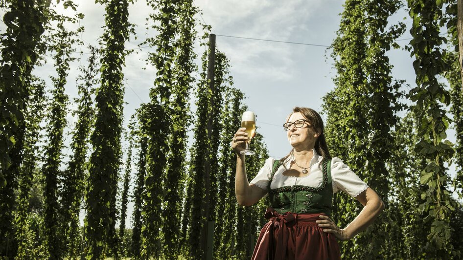 Brewery Toni Bräu_Hop Plantation_Eastern Styria | © Tourismusverband Oststeiermark