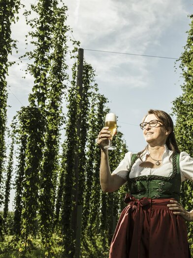 Brauerei Toni Bräu_Hopfenplantage_Oststeiermark | Bernhard Bergmann | © Tourismusverband Oststeiermark