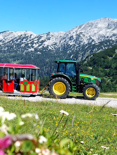 Slow train ride on the Hollhaus slow train | © Berggasthof Hollhaus