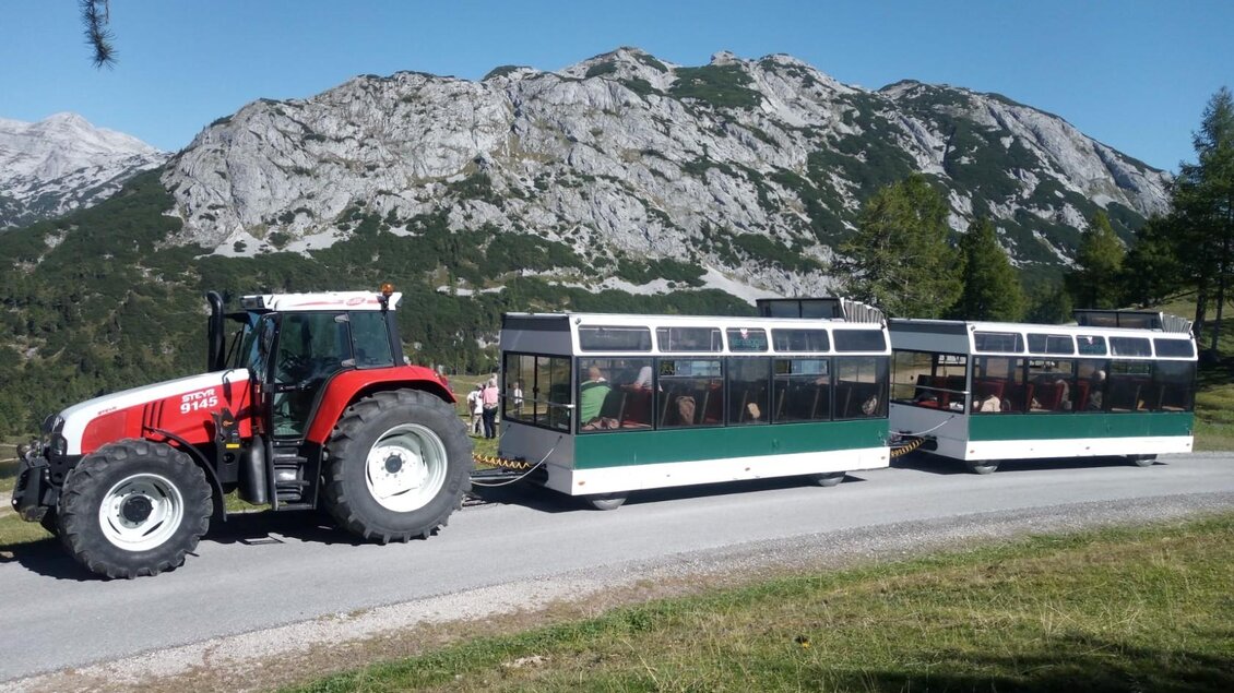 Ein grünes Touristenbahnstück fährt auf einer Landstraße durch einen Wald. Viele Menschen sitzen im Zug und genießen die Aussicht. | © Hotel Hierzegger
