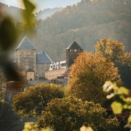 Burg im Herbst 232 (c) Schilcherland Steiermark -