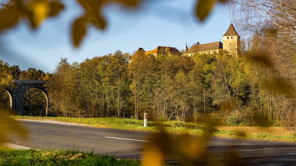 Blick auf Burg Thalberg_Oststeiermark | © flotoanker
