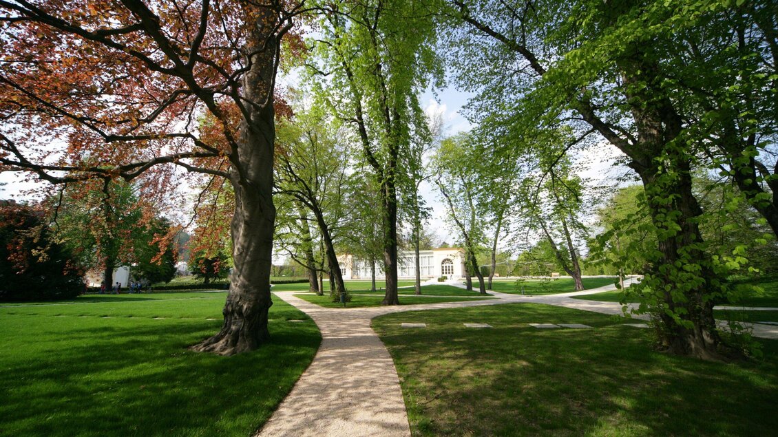 Spazierweg im Burggarten Graz im Frühling | © Graz Tourismus-Harry Schiffer