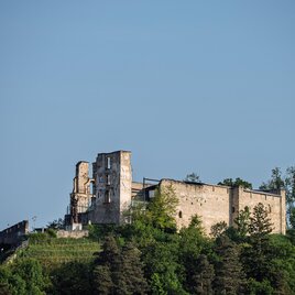 <p>Burgruine Obervoitsberg auf dem bewaldeten Schlossberg in Voitsberg unter blauem Himmel | © Bernd Grosseck
