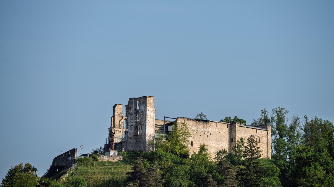 <p>Burgruine Obervoitsberg auf dem bewaldeten Schlossberg in Voitsberg unter blauem Himmel | © Bernd Grosseck